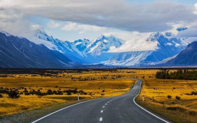 Road to Financial Freedom
